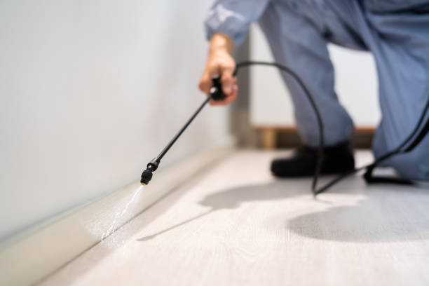 Licensed Mosquito Control service in Winter Beach, FL - Show Me Pest Control
