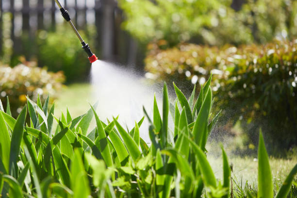 24/7 Emergency Mosquito Control experts in Winter Beach, FL