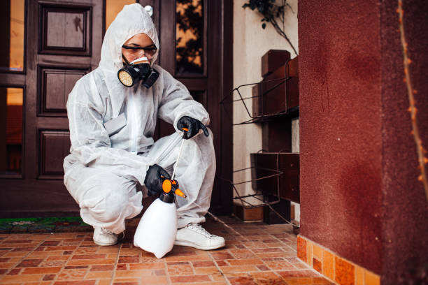 Reliable Mosquito Control contractor in Winter Beach, FL by Show Me Pest Control
